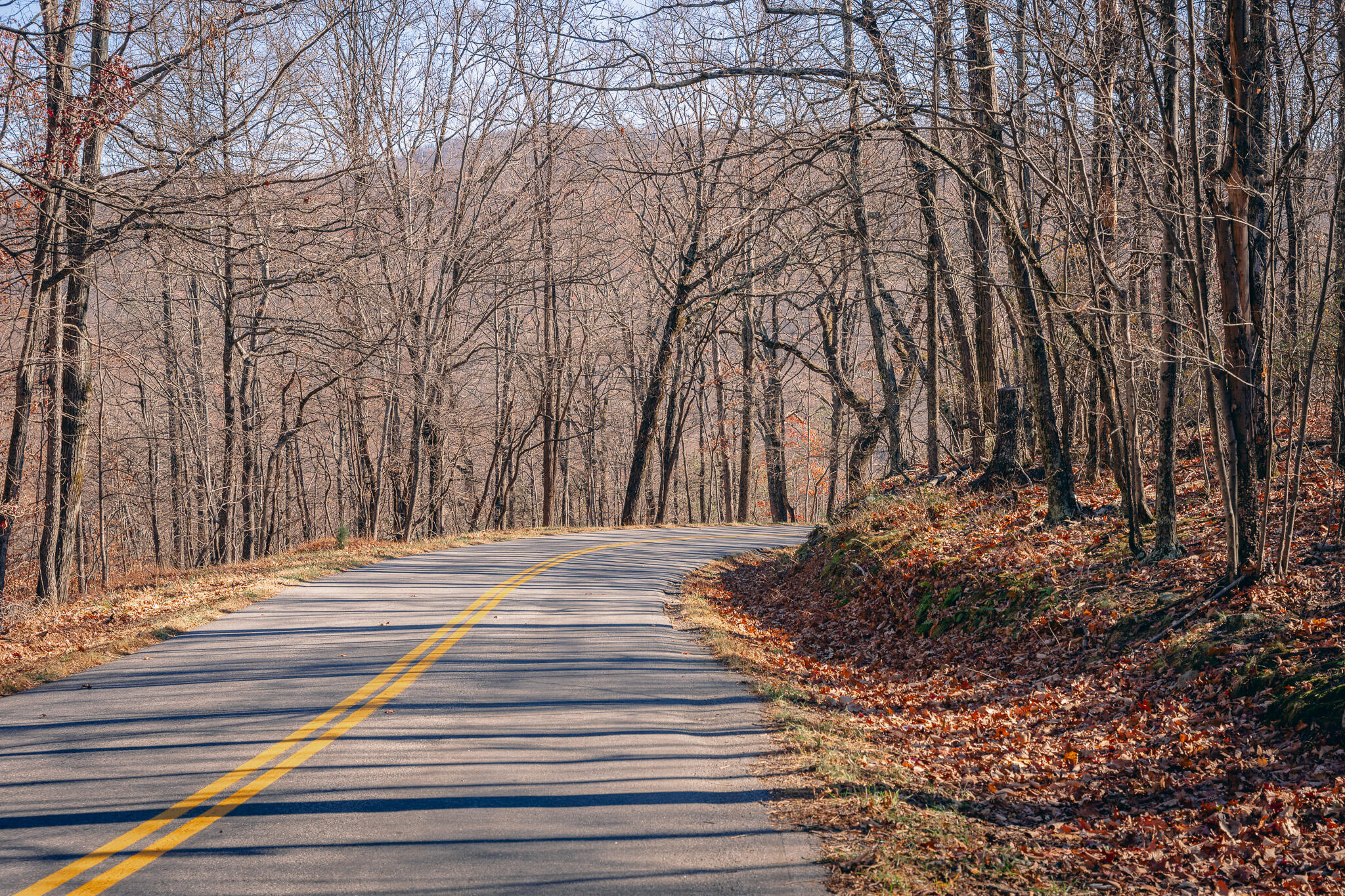 0 Bore Auger Road Blue Ridge, VA 24064 - Photo 8 of 25 a view of a backyard of the house