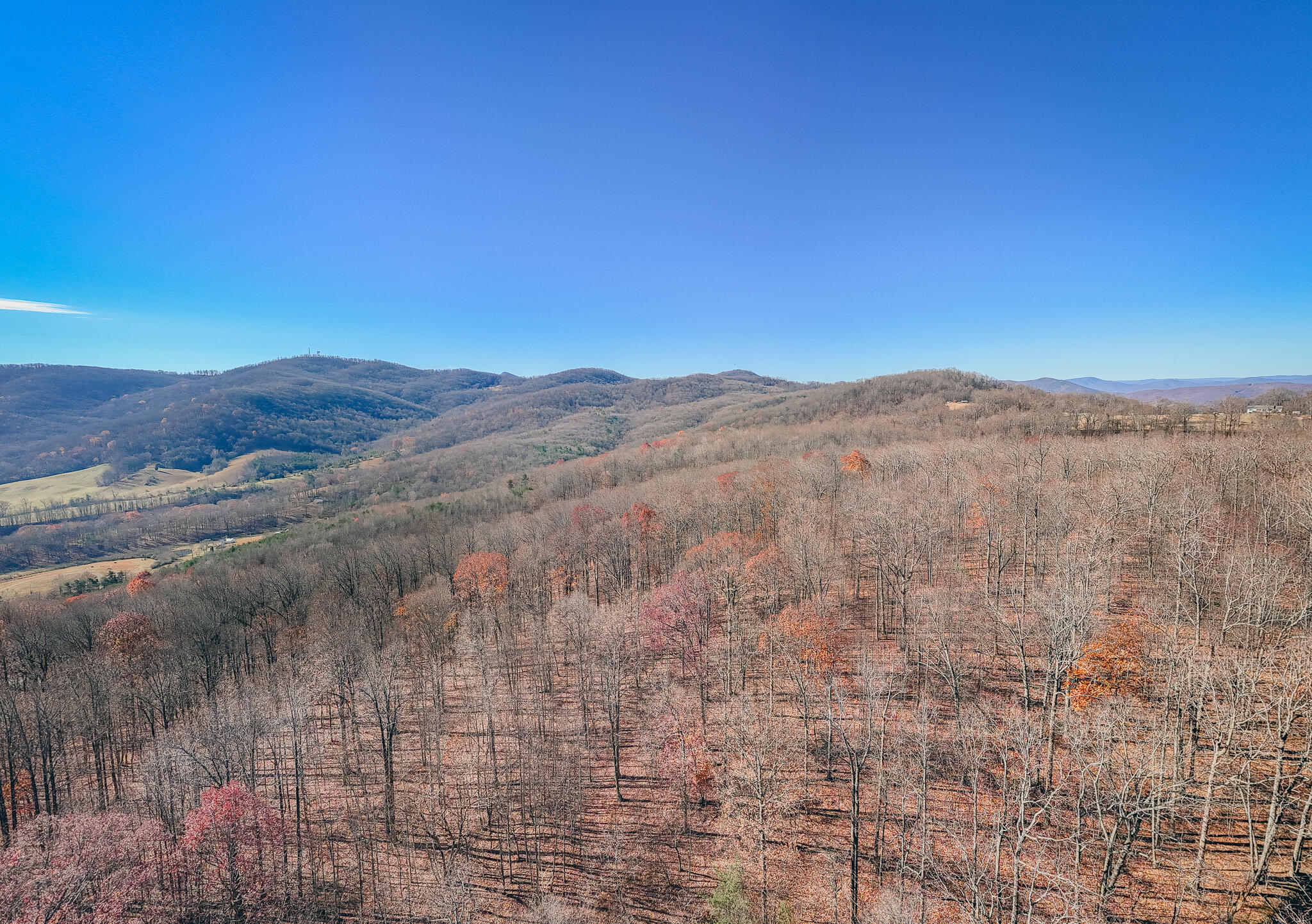 0 Bore Auger Road Blue Ridge, VA 24064 - Photo 10 of 25 a view of a dry field with mountains in the background
