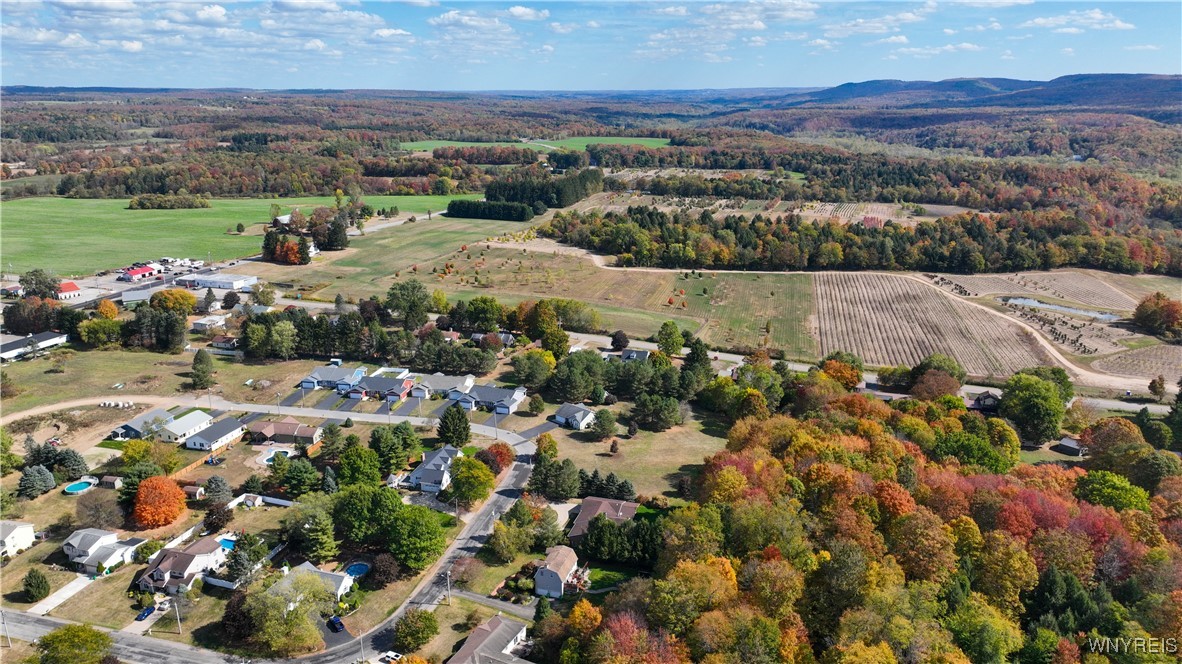 151 East Hill Run Springville, NY 14141 - Photo 11 of 50