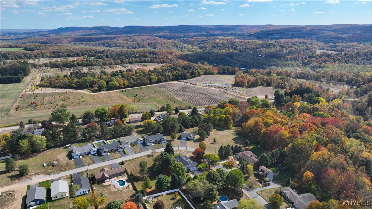 151 East Hill Run Springville, NY 14141 - Photo 12 of 50