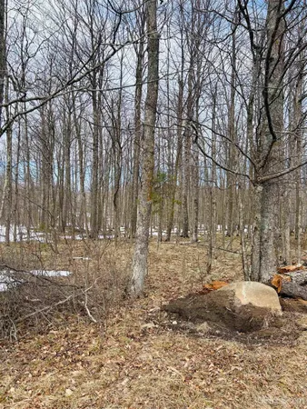$38,000 | Lot#25 Fordville Road, Foster City, MI 49834