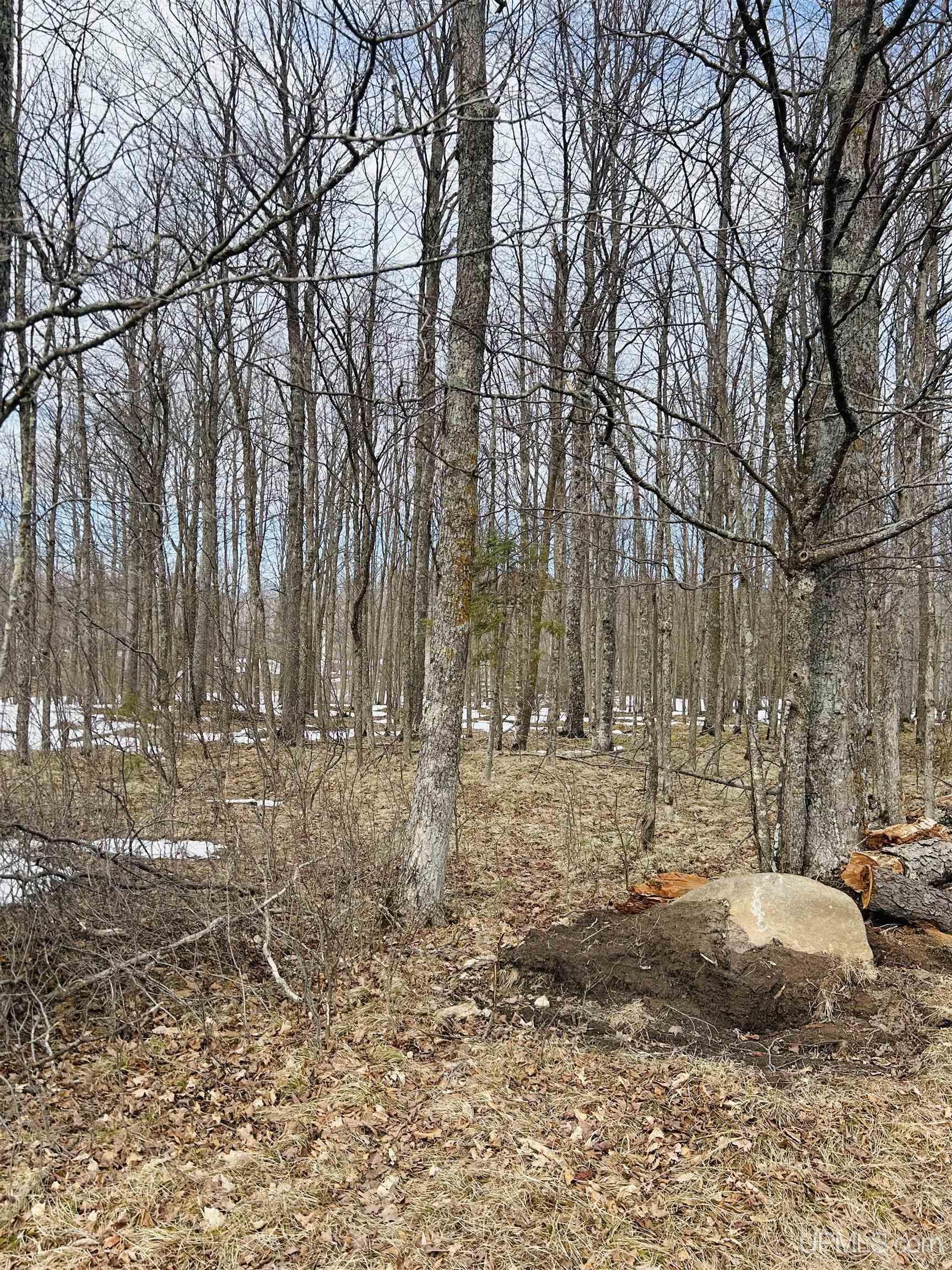 Lot#25 Fordville Road Foster City, MI 49834 - Photo 1 of 27
