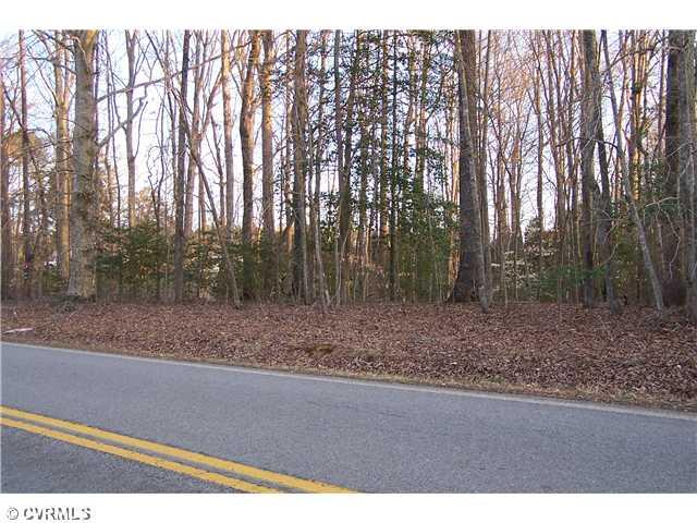 6-acres Skipwith Road Boydton, VA 23917 - Photo 3 of 8