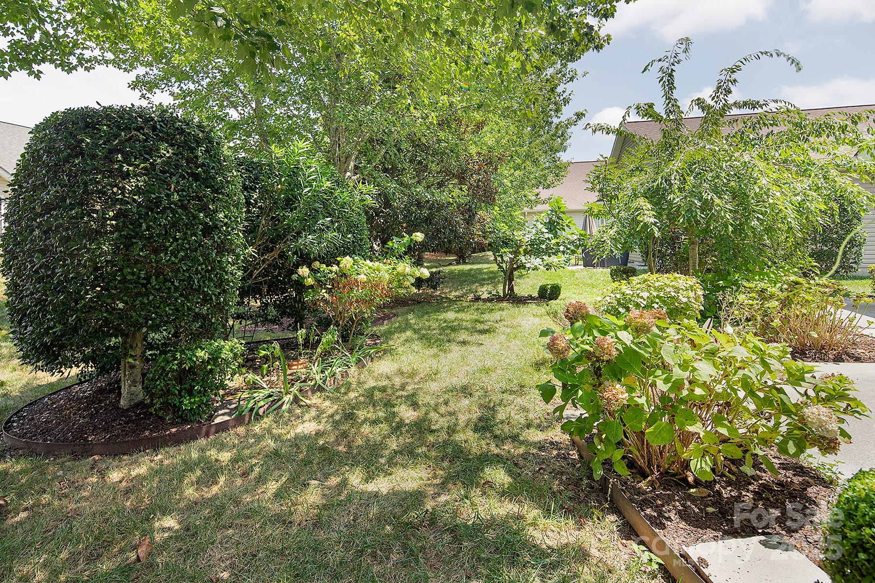 923 Platinum Drive Fort Mill, SC 29708 - Photo 33 of 34 a view of a yard with plants and large trees