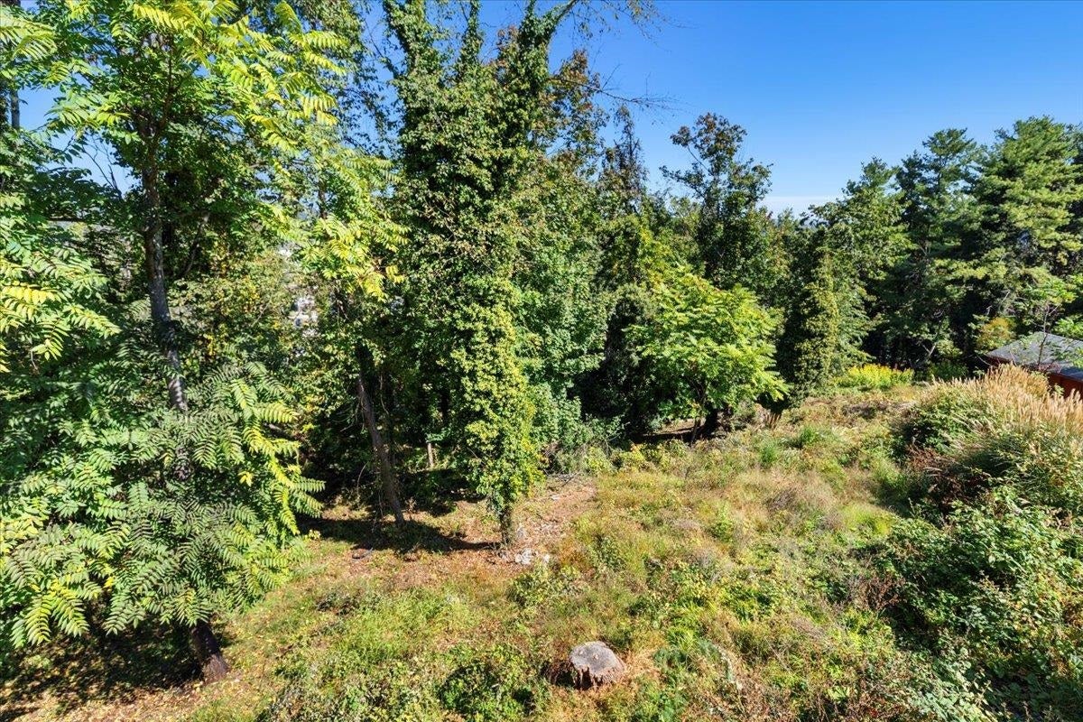 910 Gilbert Street Radford, VA 24141 - Photo 42 of 65 Gallery Image 42