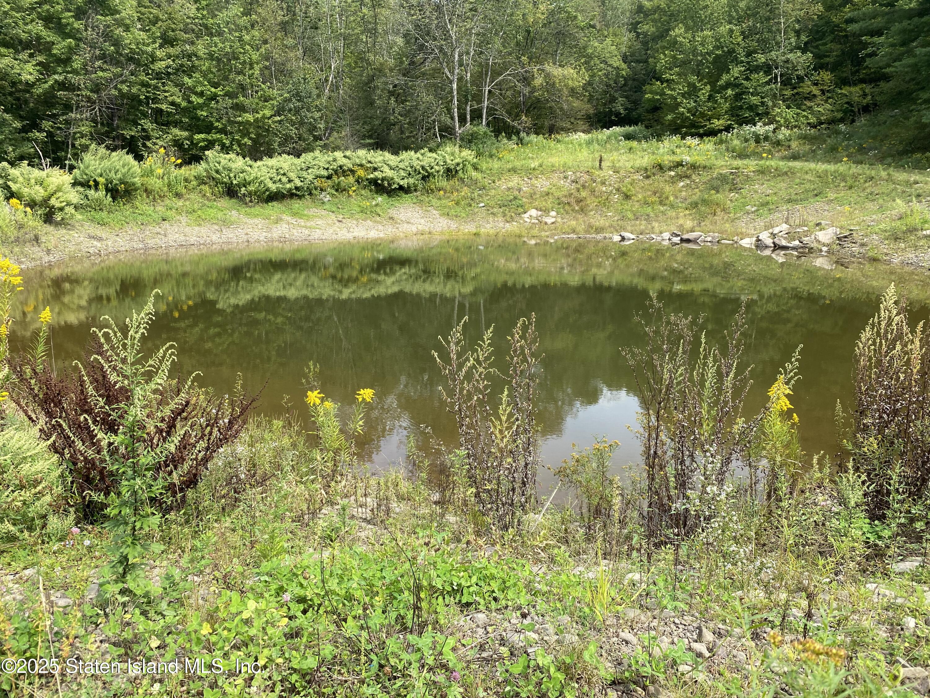 2340 Sands Creek Road Hancock, NY 13783 - Photo 1 of 8 a view of a lake view with a garden