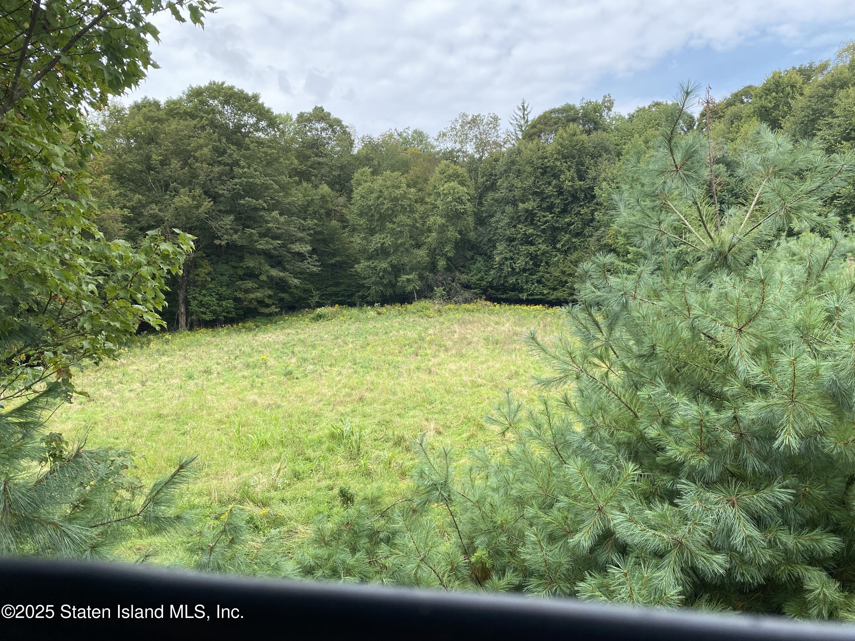2340 Sands Creek Road Hancock, NY 13783 - Photo 2 of 8 a view of a yard with an outdoor space