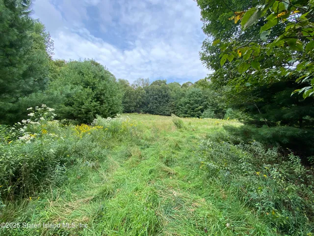 a view of an outdoor space and a yard