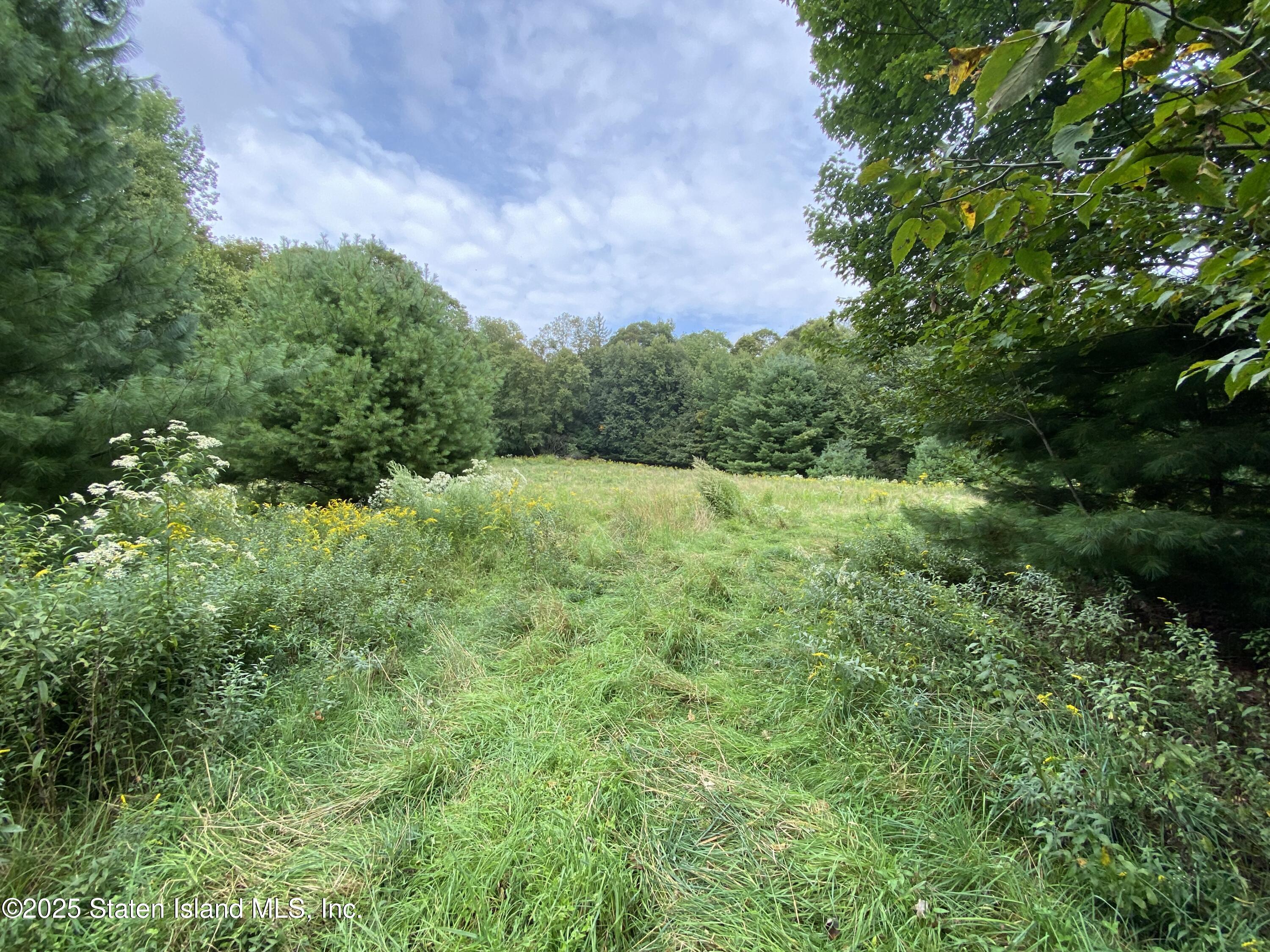 2340 Sands Creek Road Hancock, NY 13783 - Photo 3 of 8 a view of an outdoor space and a yard