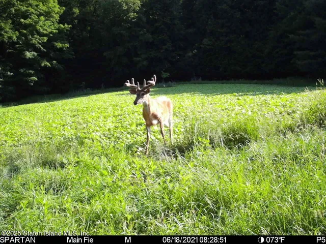 a view of swimming pool from a yard