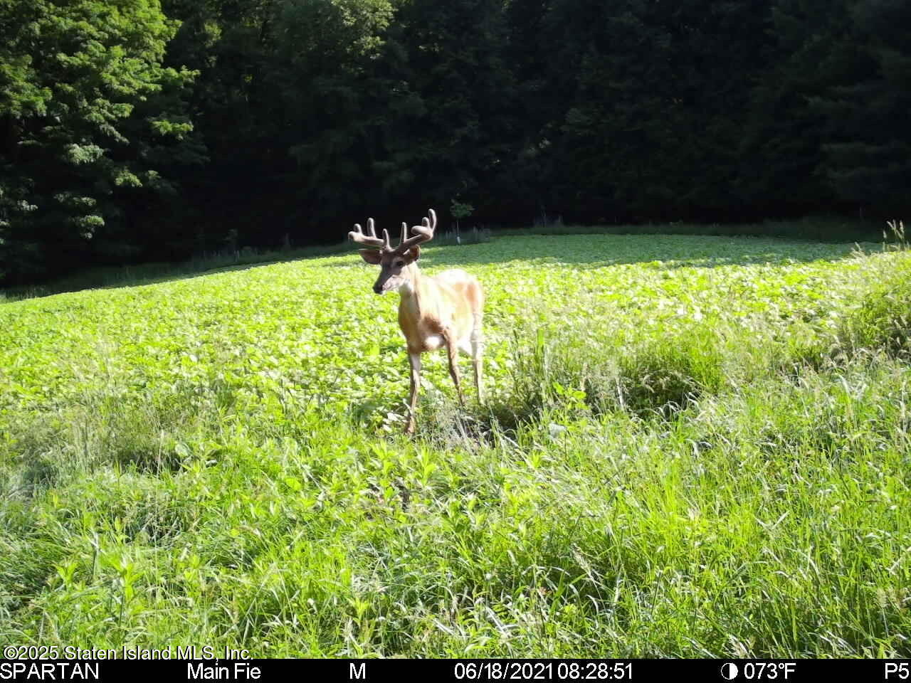 2340 Sands Creek Road Hancock, NY 13783 - Photo 5 of 8 a view of swimming pool from a yard