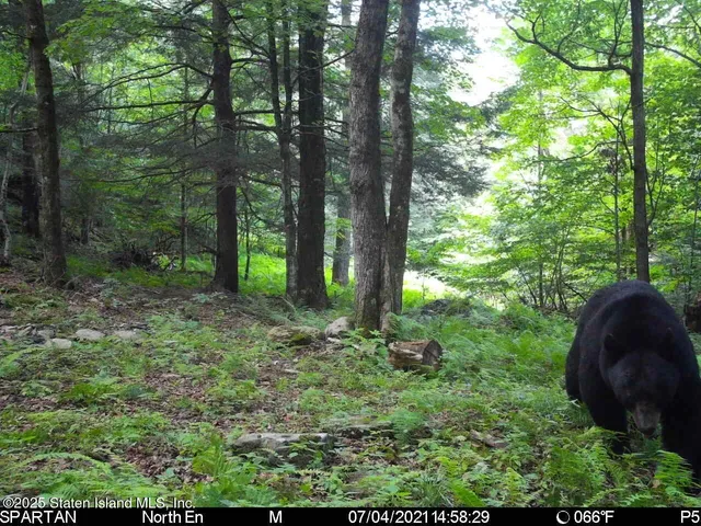 a view of outdoor space and garden