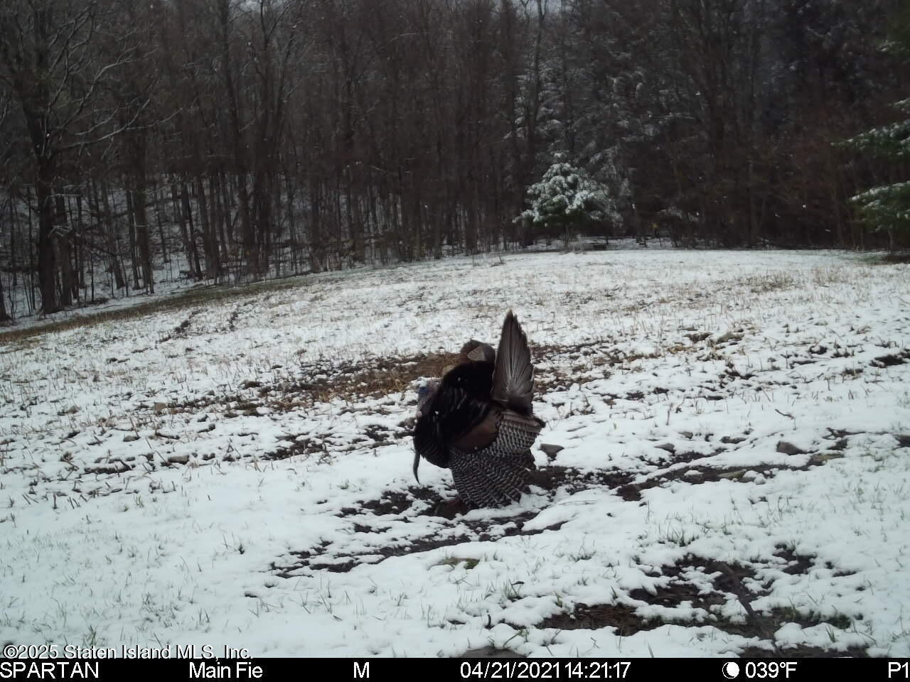 2340 Sands Creek Road Hancock, NY 13783 - Photo 8 of 8