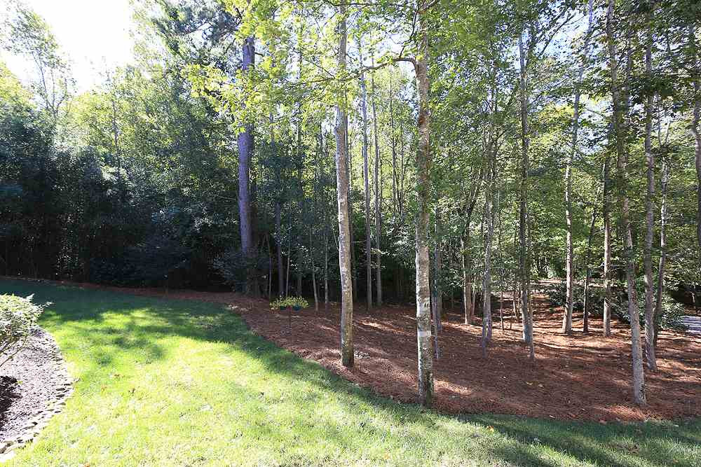 9509 Swepstone Lane Raleigh, NC 27615 - Photo 29 of 30 Manicured lawn and natural woods out back. Property behind this home consists of 16 acres of mostly woods. Backyard