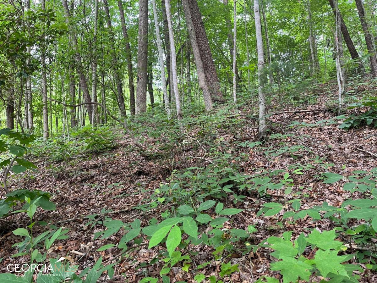 0 Hwy 75 Alt Helen Ga  