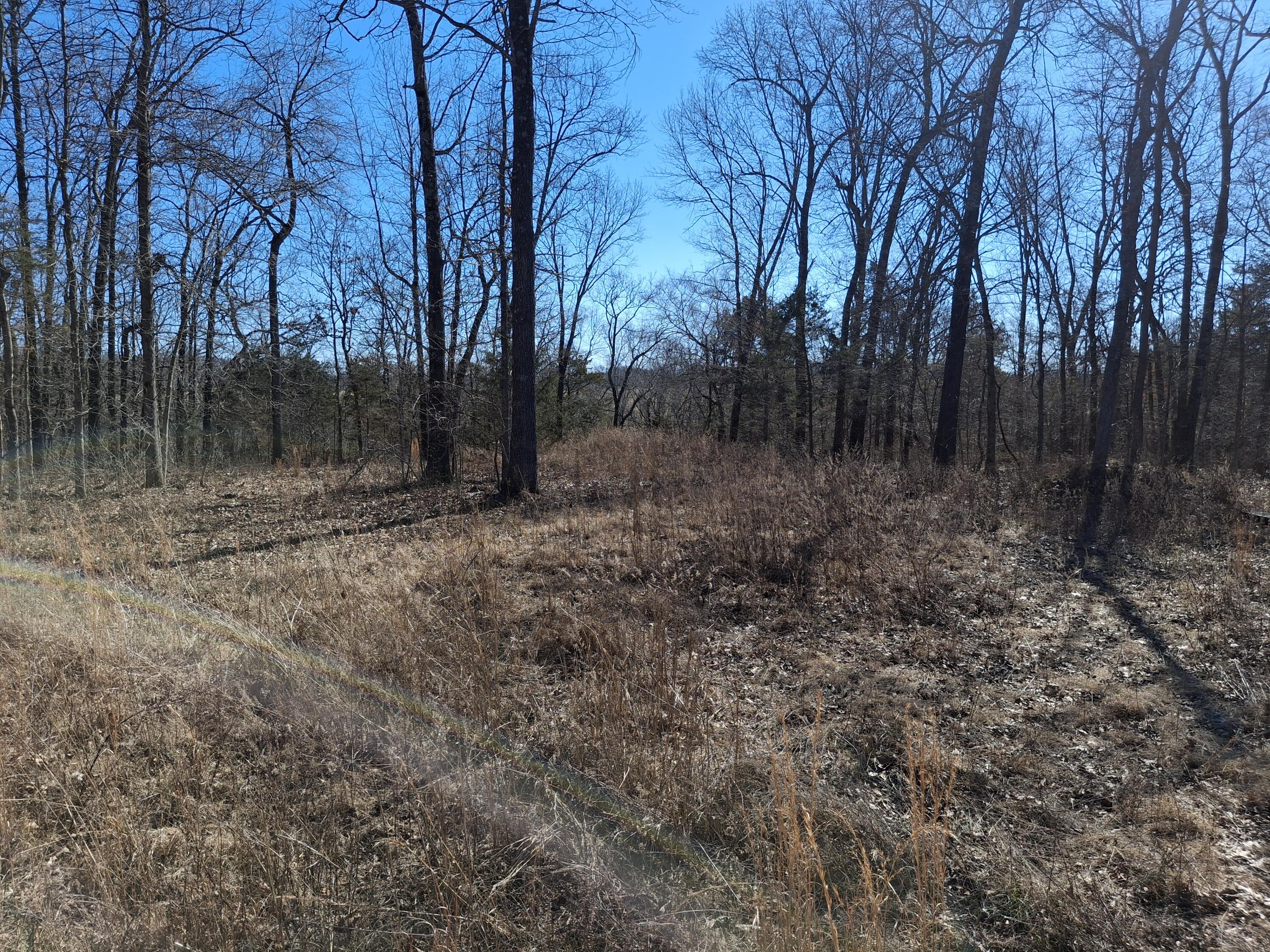 6237 Hunters Glen Road Seligman, MO 65745 - Photo 8 of 8 1000006399