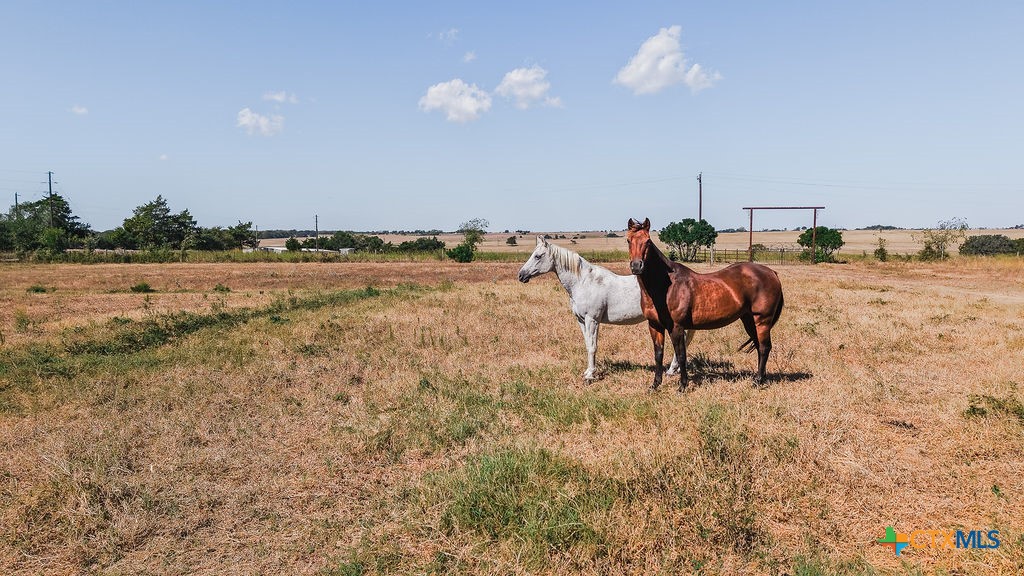 1439 Dagg Road Yoakum, TX 77995 - Photo 46 of 48
