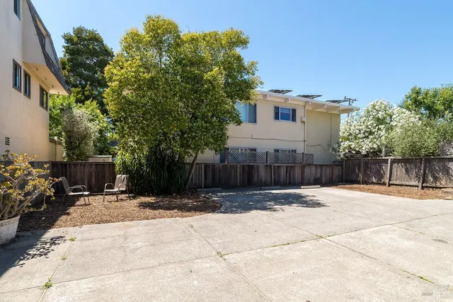 a view of backyard with potted plants and a palm tree