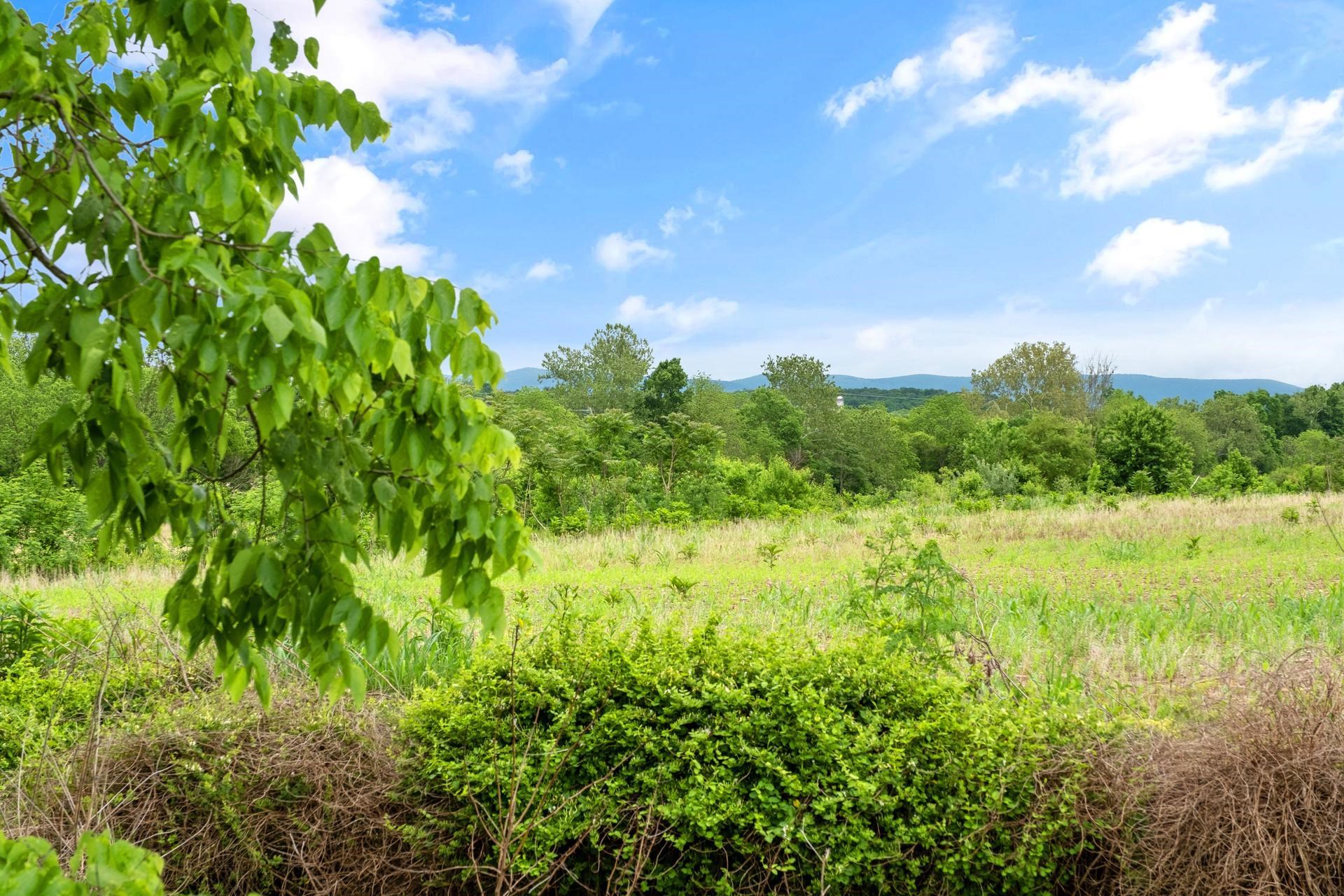 3 Rife's Ford Road Verona, VA 24482 - Photo 57 of 74 a view of a yard with a tree