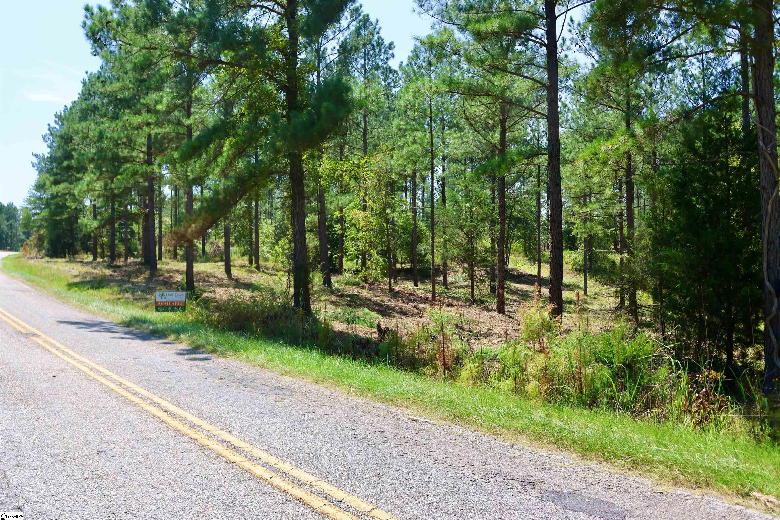 0 Fields Road, Unit LOT 3 Pauline, SC 29374 - Photo 3 of 6