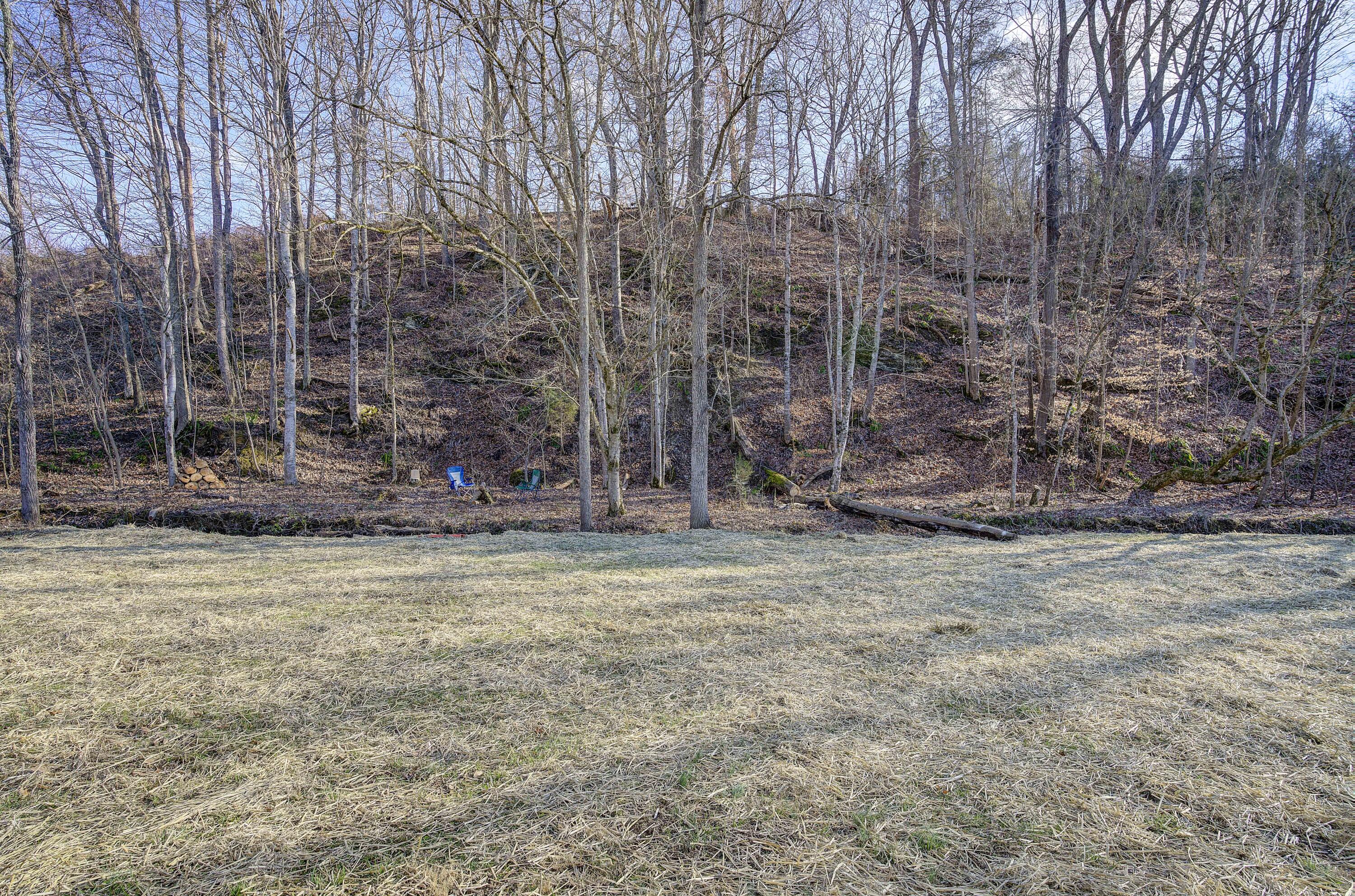 813 Church Road Fall Branch, TN 37656 - Photo 6 of 39 Church-44