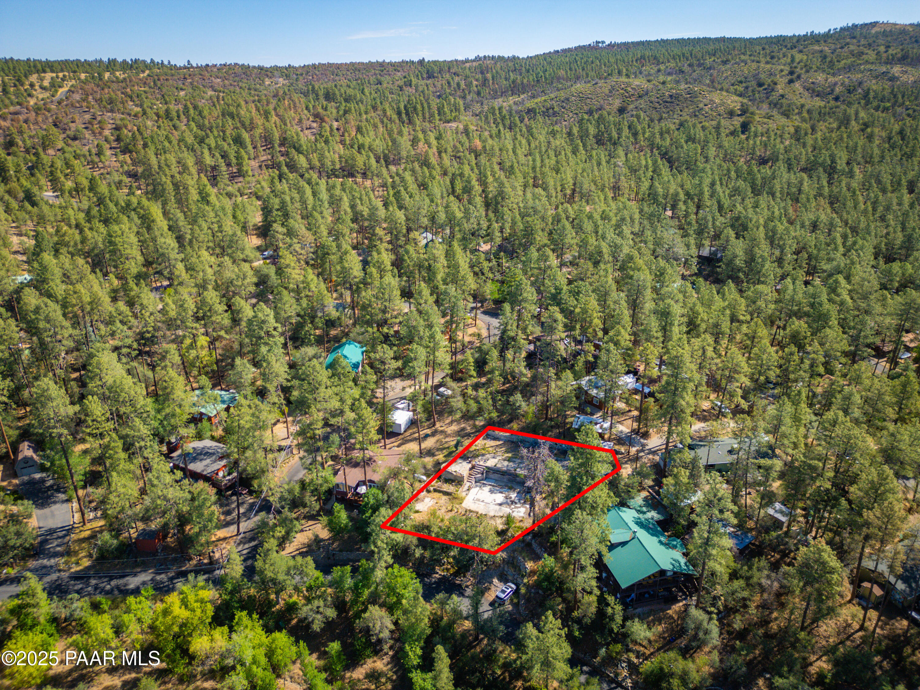 4604 South Indian Creek Road Prescott, AZ 86303 - Photo 11 of 14 a view of a lush green field with lots of flower in it