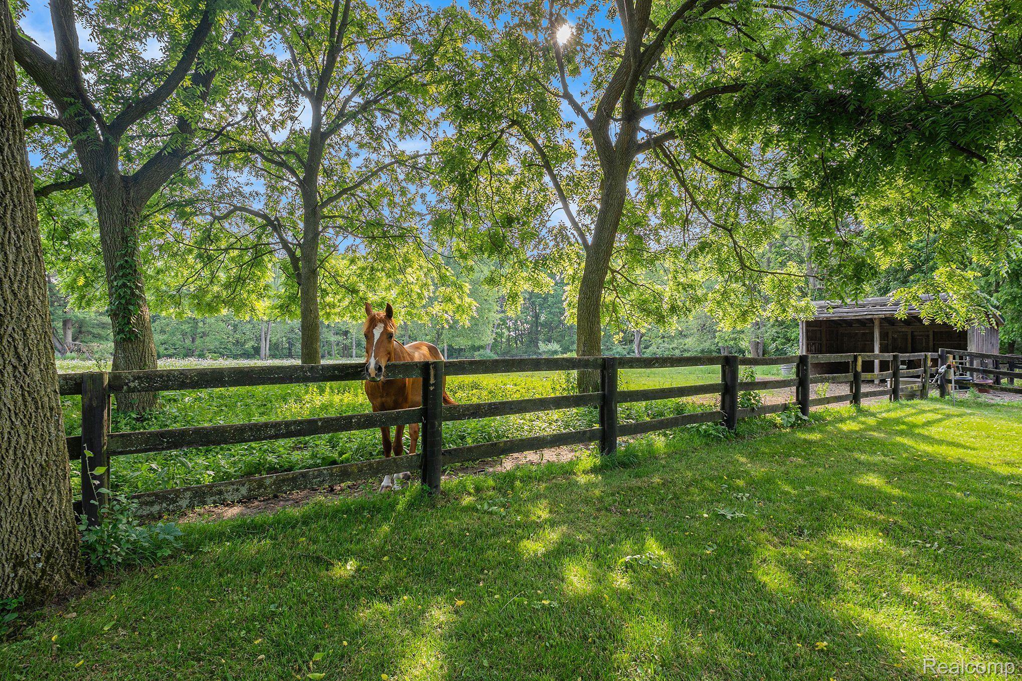 365 Stock Road Metamora, MI 48455 - Photo 14 of 97 Gallery Image 14