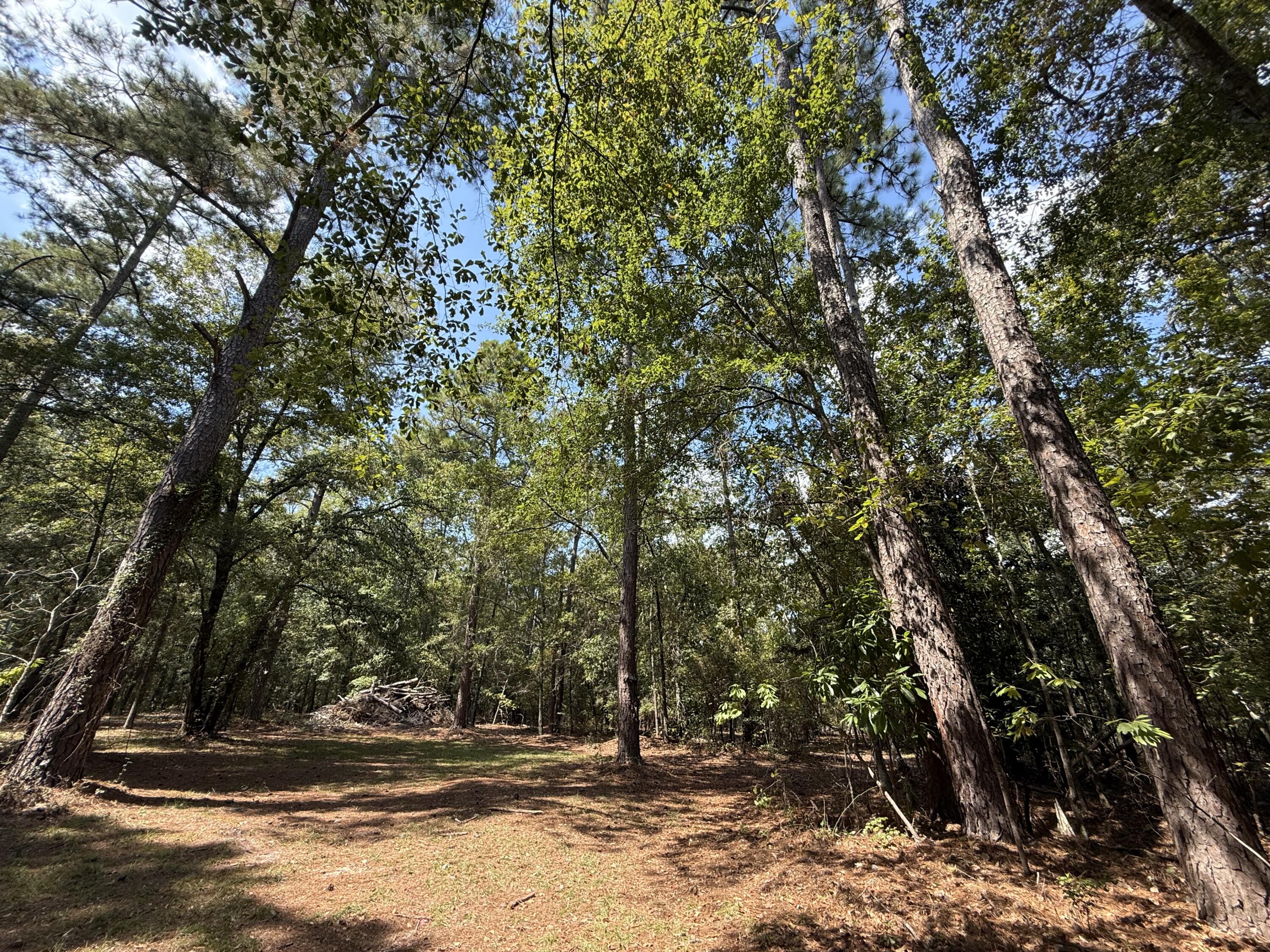 555 Old Whiskey Road Barnwell, SC 29812 - Photo 32 of 35 72