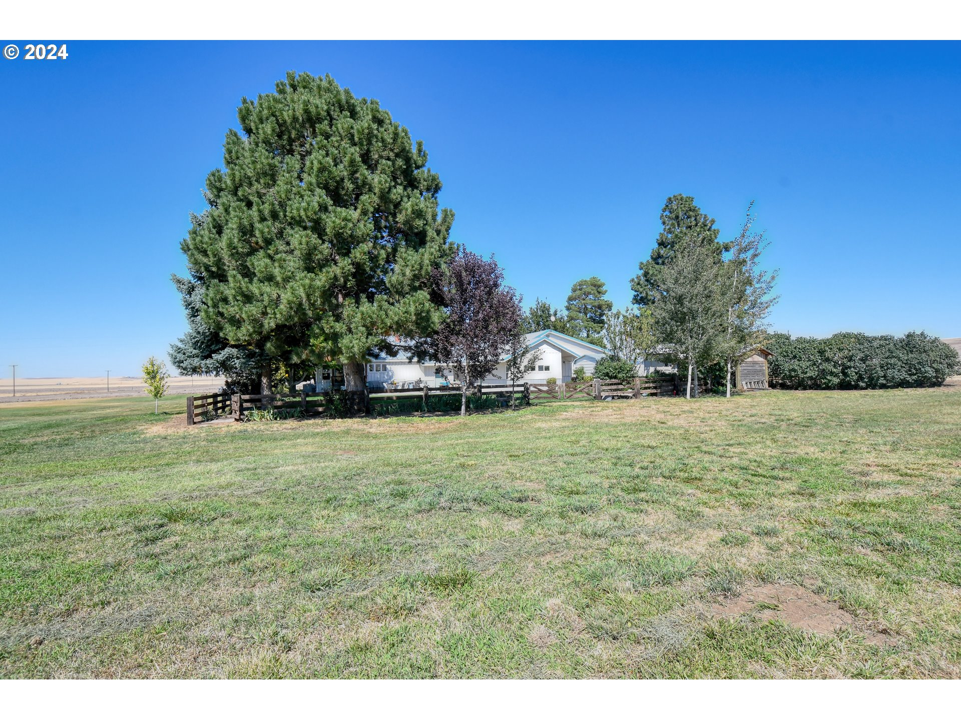 48612 Duff Road Pendleton, OR 97801 - Photo 42 of 46