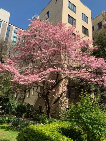 $999,000 | 250 West 24th Street, Unit 1CW | Chelsea