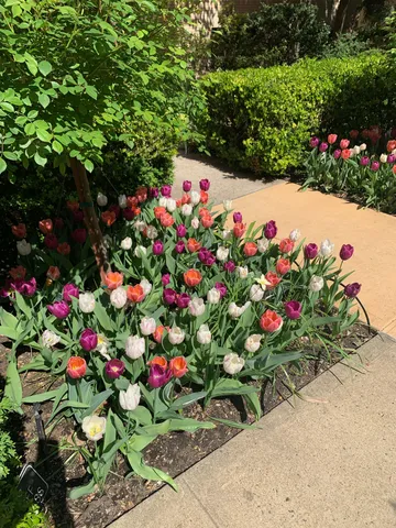 $999,000 | 250 West 24th Street, Unit 1CW | Chelsea