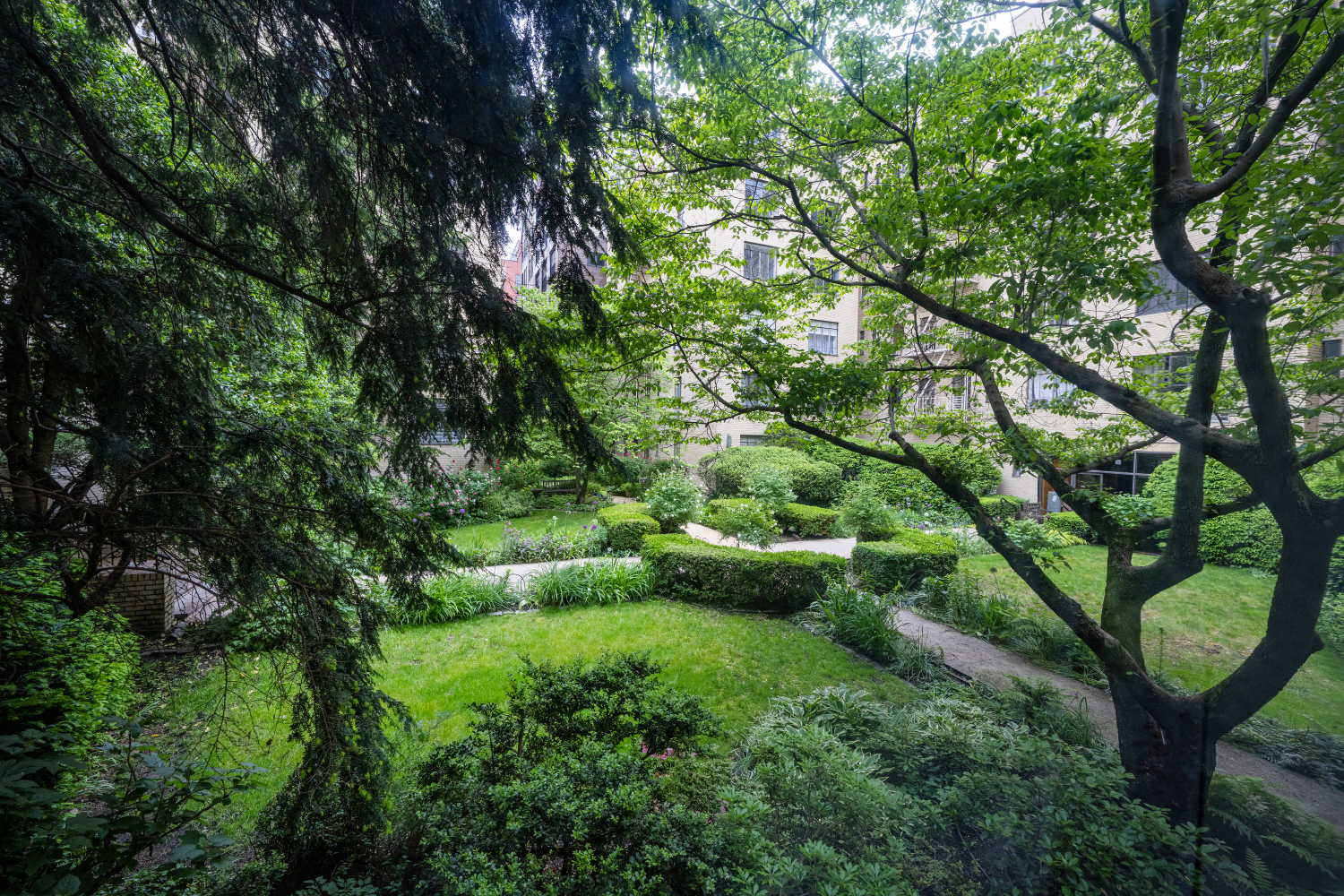 250 West 24th Street, Unit 1CW Manhattan, NY 10011 - Photo 8 of 12 a view of a lush green forest