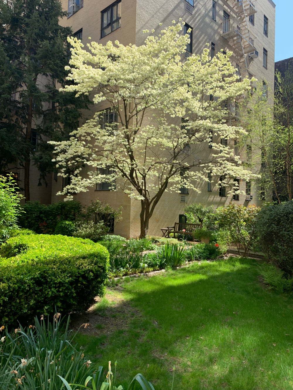 250 West 24th Street, Unit 1CW Manhattan, NY 10011 - Photo 9 of 12 a view of a garden with a tree