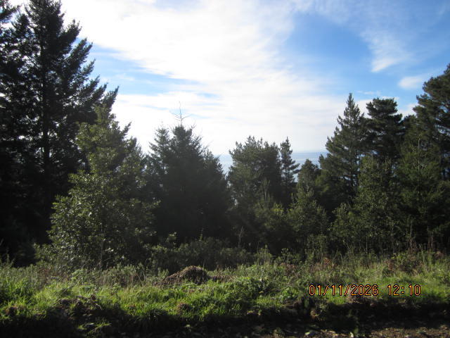 2715 Toth Road Shelter Cove, CA 95589 - Photo 6 of 27 IMG_0754