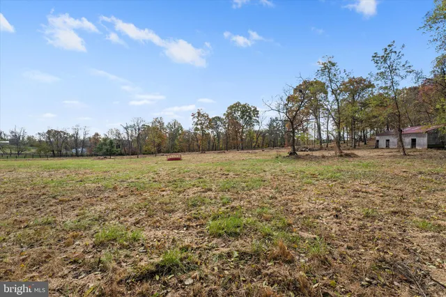 a view of dirt yard with large trees
