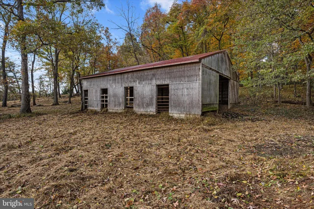 a view of a field with trees in the background