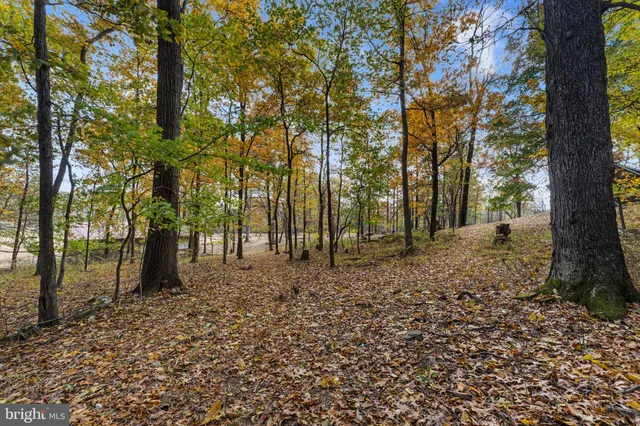 a view of a house with a yard and tree