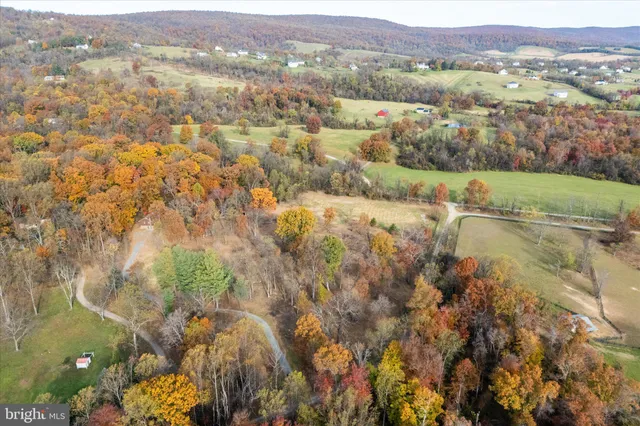 a house with trees in the background