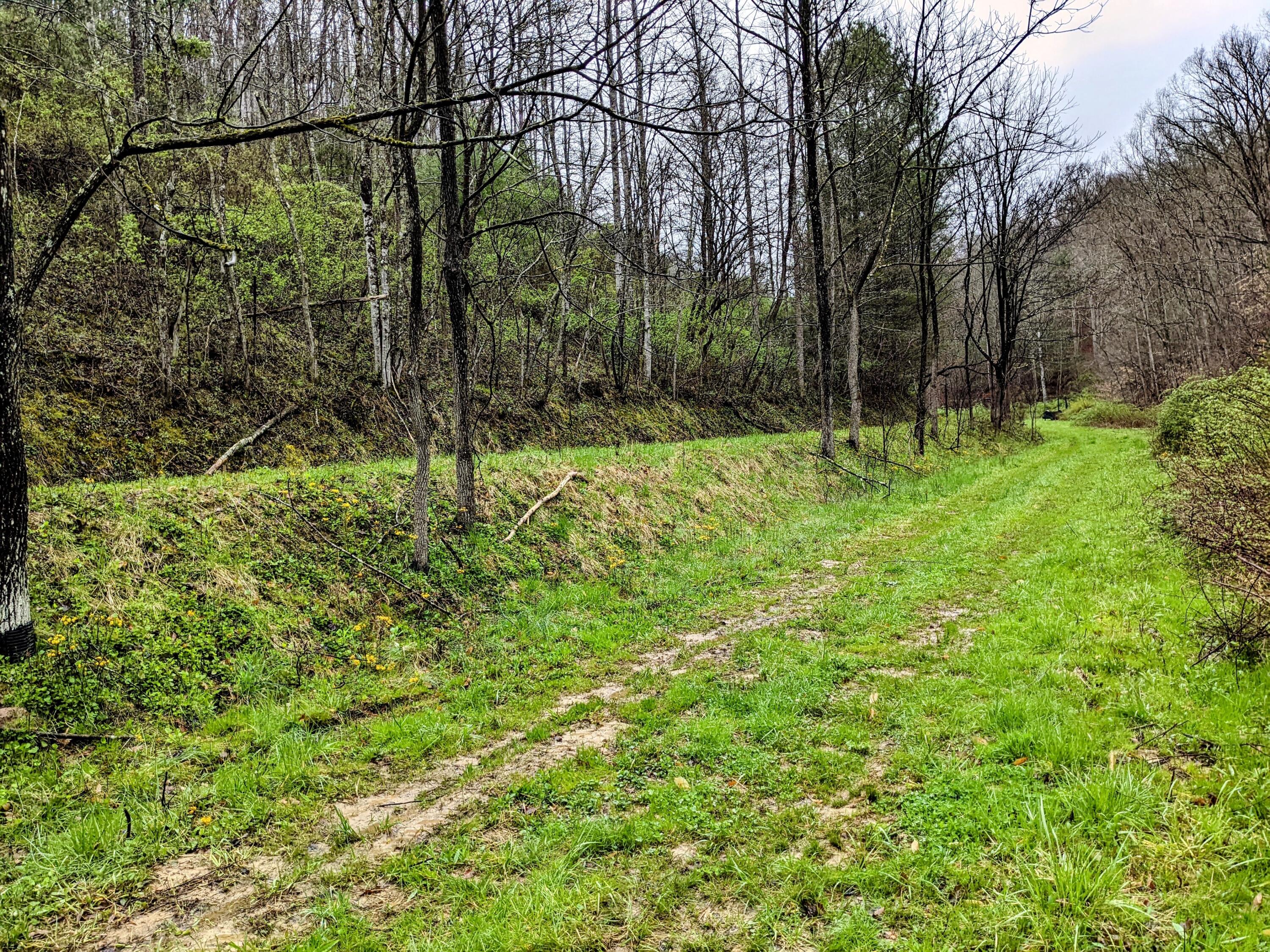 1 East Spencer Road Campton, KY 41301 - Photo 28 of 52 PXL_20220414_131009166~2_Original