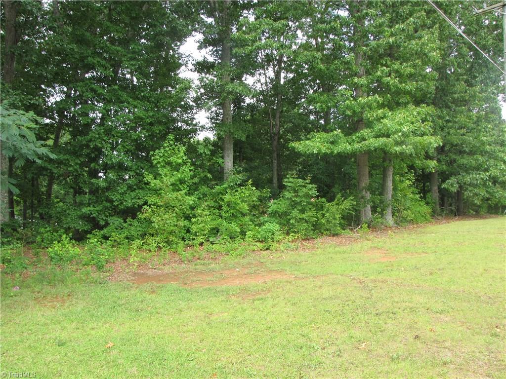 Jim Minor Rd South Jim Minor Road Mebane, NC 27302 - Photo 5 of 5 Gallery Image 5