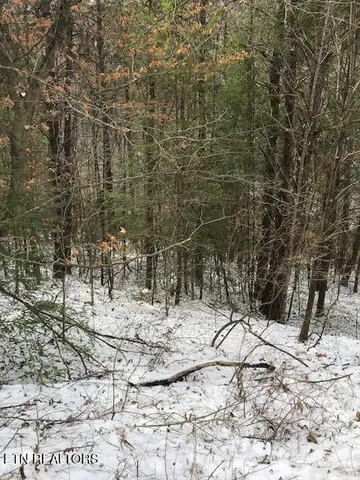 $120,000 | 80-013.00 Buffalo Road, Oneida, TN 37841