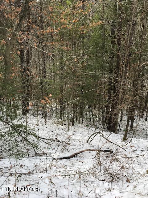 80-013.00 Buffalo Road Oneida, TN 37841 - Photo 2 of 5 IMG_8065