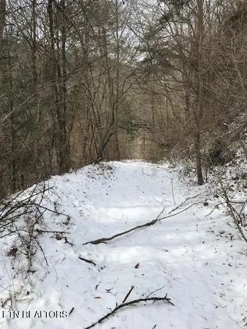 $120,000 | 80-013.00 Buffalo Road, Oneida, TN 37841