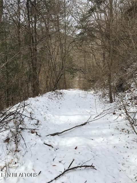 80-013.00 Buffalo Road Oneida, TN 37841 - Photo 3 of 5 IMG_8066