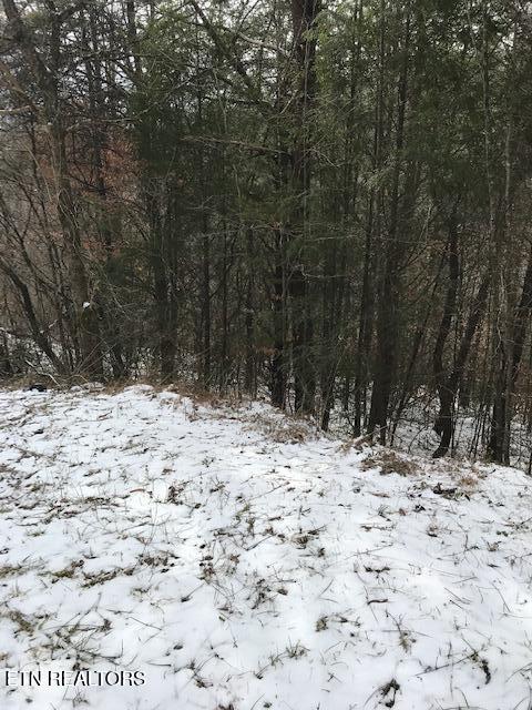 80-013.00 Buffalo Road Oneida, TN 37841 - Photo 4 of 5 IMG_8067