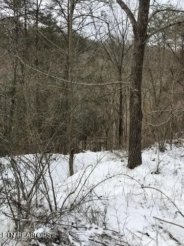 $120,000 | 80-013.00 Buffalo Road, Oneida, TN 37841