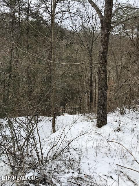 80-013.00 Buffalo Road Oneida, TN 37841 - Photo 5 of 5 IMG_8064