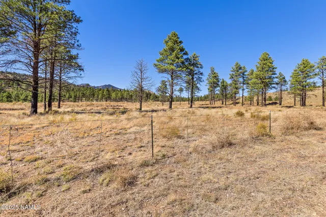 a view of a lake with a yard