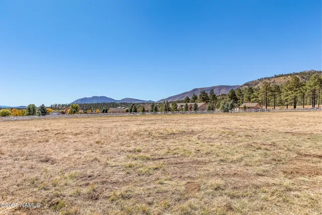 a view of road with trees