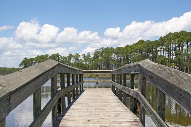 35 East Nursery Road Santa Rosa Beach, FL 32459 - Photo 30 of 45